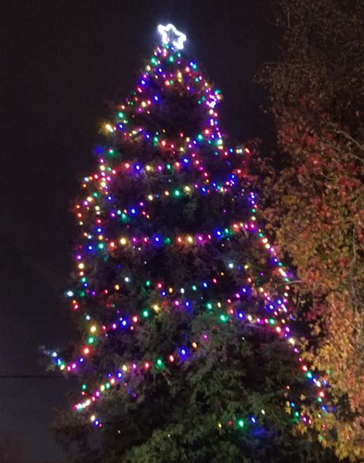 Doctors Hospital of Manteca Hosts Tree of Lights Ceremony